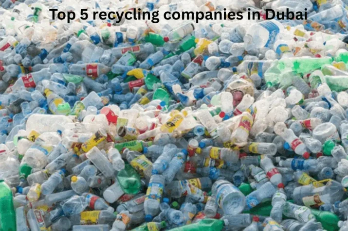 Top 5 recycling companies in Dubai