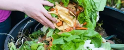 How to Recycle Organic Waste