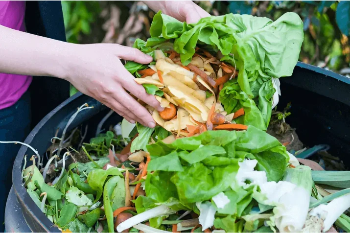 How to Recycle Organic Waste